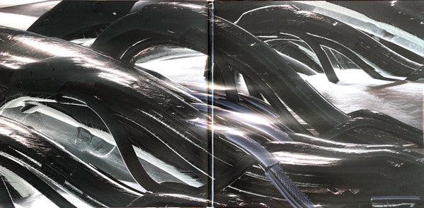 DJ Stingray 313* : F.T.N.W.O. (2x12", Album, RE)