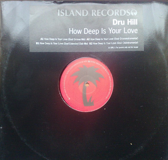 Dru Hill : How Deep Is Your Love (12", Promo)