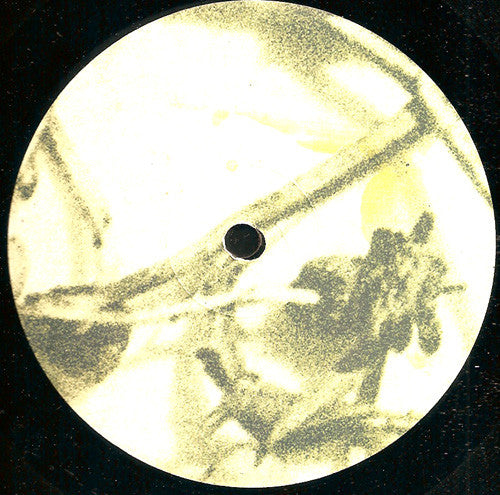 The Optic Crux : Psylocybe (12")
