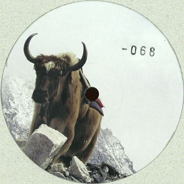 Paul Mitchell (14) : An Expedition (12", Ltd, EP)