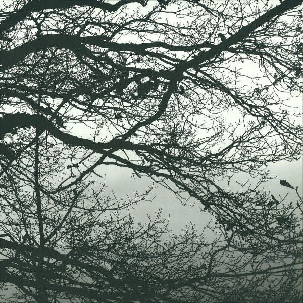 Heisenberg (4) : Ripatti 02 (12", EP, Ltd)