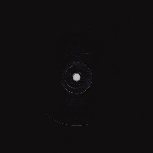 Wishmountain : Wishmountain (2x12", Ltd)